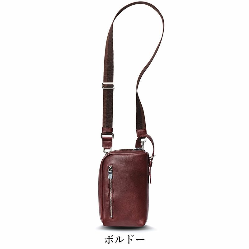 【極美品】aniary・シュリンクレザー 　　　　ショルダーバック aniary 正規取扱店 アニアリ ショルダー ショルダーバッグ