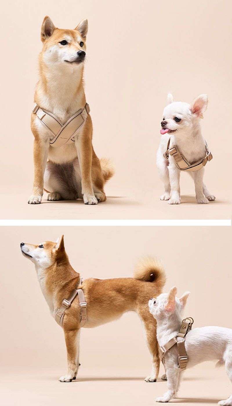 MILLIONG ハーネス M | TOZAI NANBOKUYA