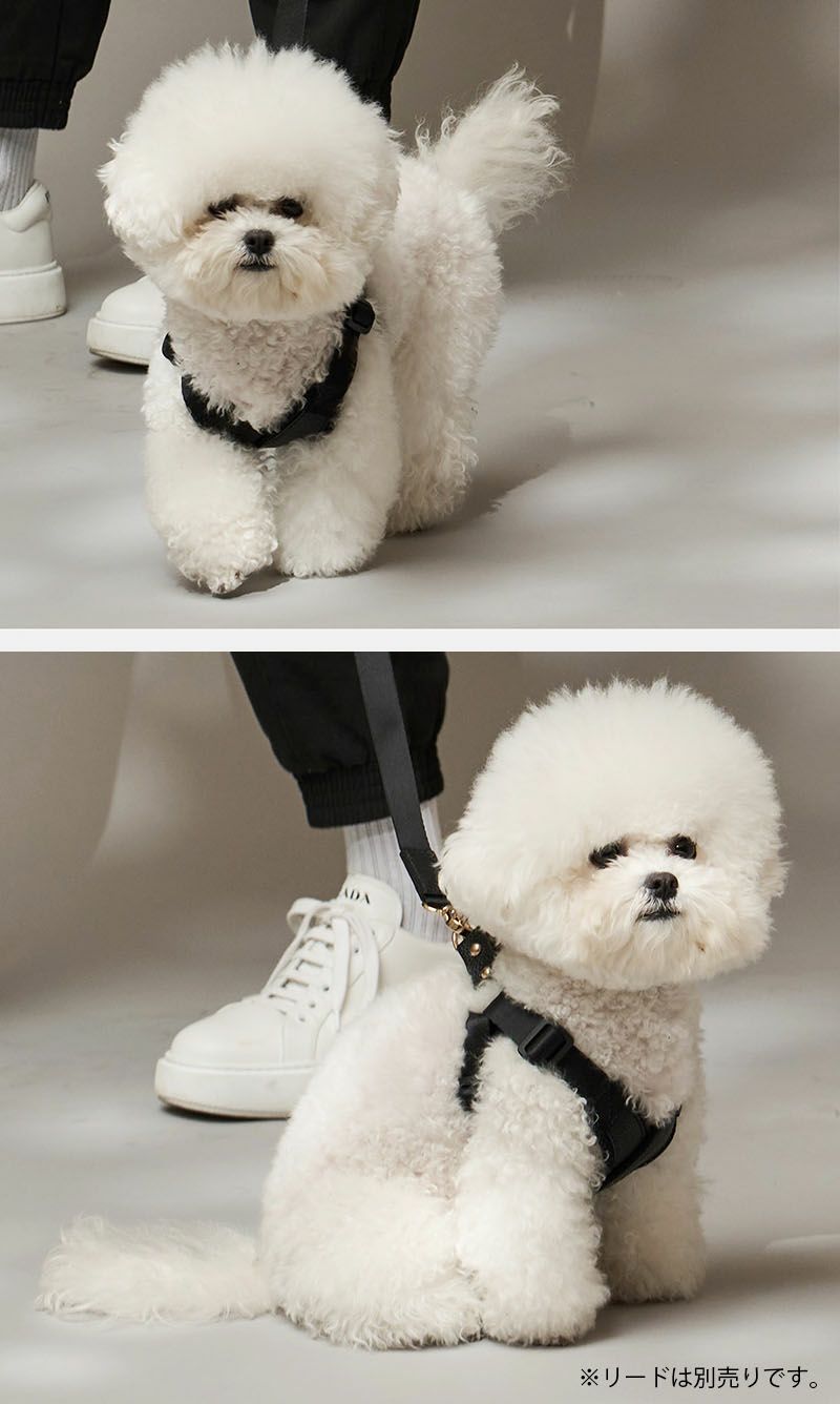 【新品未使用】MILLIONG ミリオン MONDE ハーネスとリード 000000011078-10-xl.jpg?t=