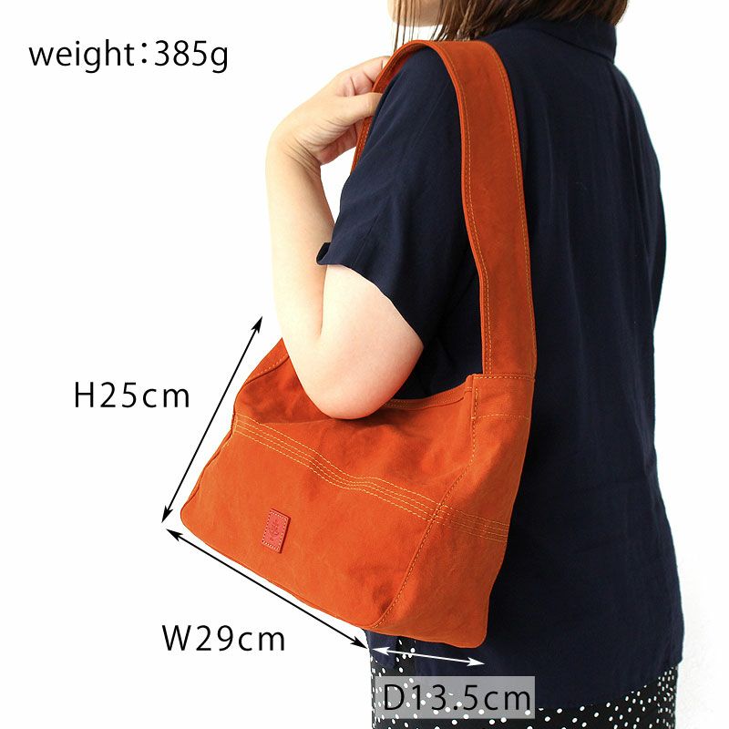 BAGGY'S ANNEX アルバートンアーミーダックバイオ ショルダーバッグ